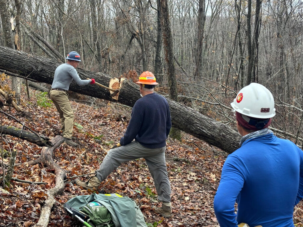 Jim Webb chops a downed tree with an axe while two other men look on.